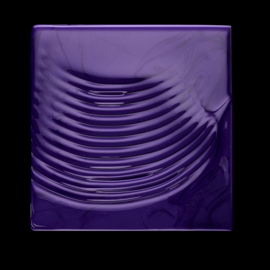 Неутрализиращ шампоан за сива и бяла коса L'Oréal Professionnel Serie Expert Silver