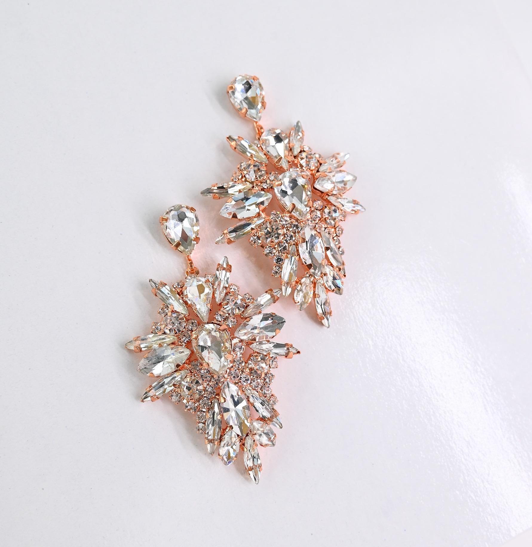 Обеци: Rose Silver Volume Earrings